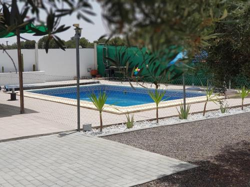 Oasis Pool in the Desert BBQ and Garden