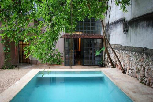 Oasis with natural pool in the heart of Mérida