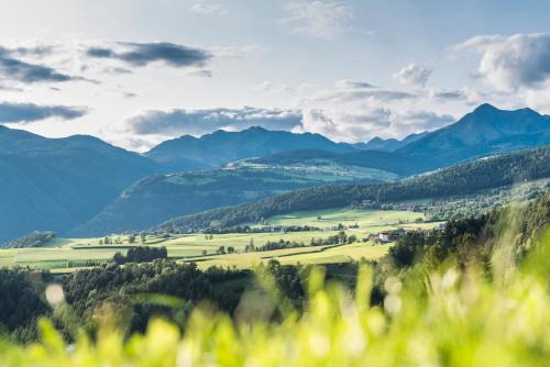 Obergasserhof