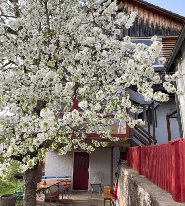 Obertraum Appartement und Ferienwohnung
