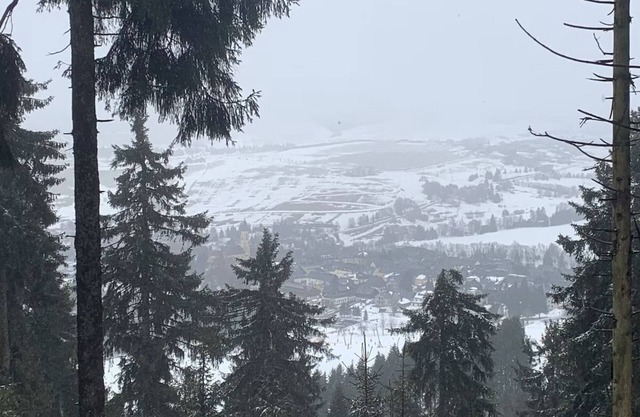 Oberwiesenthal, Unweit der Skipiste