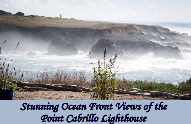 Ocean Dreams - Gorgeous ocean front home with stunning views