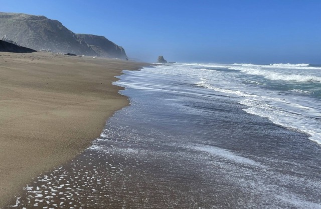 Ocean Retreat Sauna Hot Tub Walk 2 Beach Dog EVC