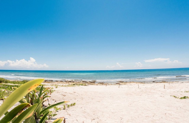 ocean view 4 BB villa with big pool in front of the beach in Tulum. sleeps 12