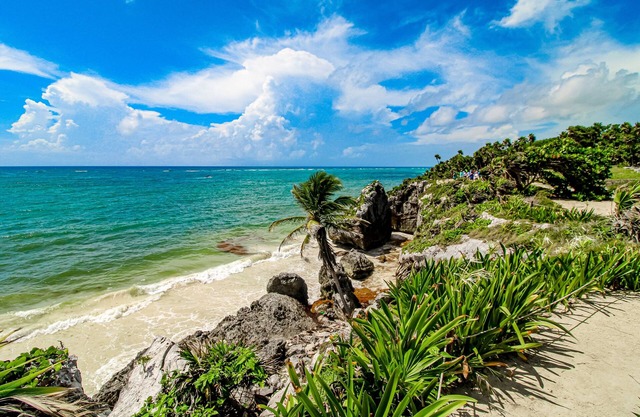 Ocean-view apt with 2 outdoor pools, gym, balcony, rooftop terrace, washer/dryer
