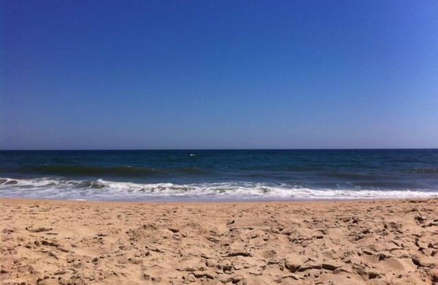 Ocean View Modern Cottage —Walk to Town, Beach Pass Included.