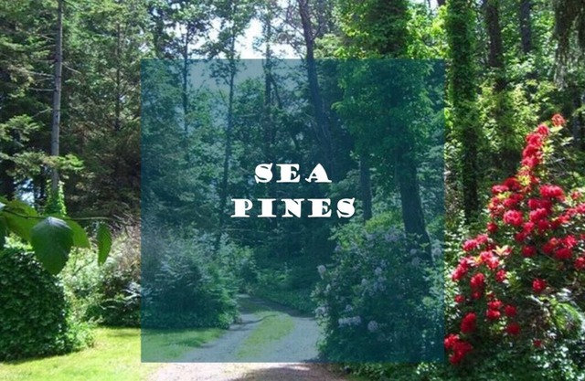 Ocean view with path to beach