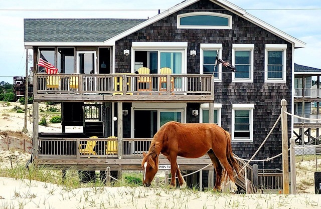 OCEANFRONT, 4-wheel drive area, Wild Horses, Ocean Views! 4x1662, Dolphin Watch