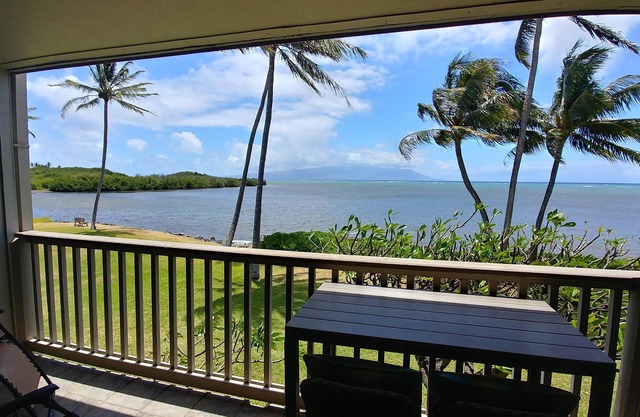 Oceanfront, king bed, queen murphy bed, beach/pickleball supplies & car option