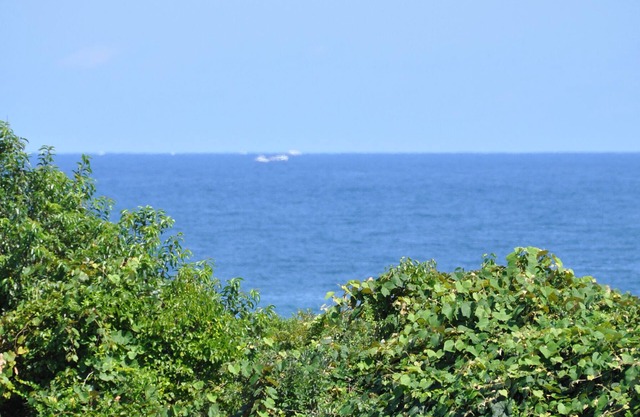 Oceanview Studio 6, Twin Pond walk to Town/Beach Pass