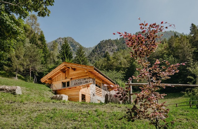 Odomi Maso nel Bosco - Elegance and Relaxation in Nature