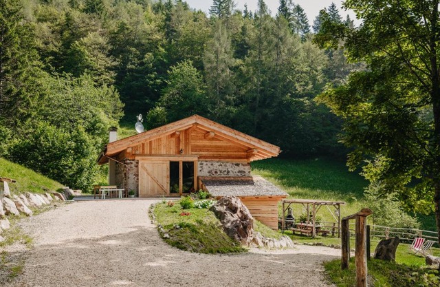 Odomi maso nel bosco - Eleganza e Relax nella Natura