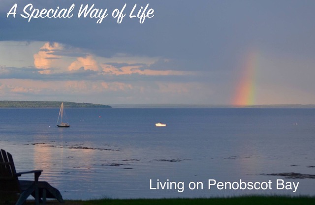 Off season discounts!! Year round waterfront house. Quality, comfort & location.
