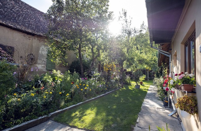 Old village ,untouched nature,beautifull landscapes,fresh air,fortified church