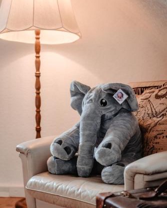 Olifant in Osterode
