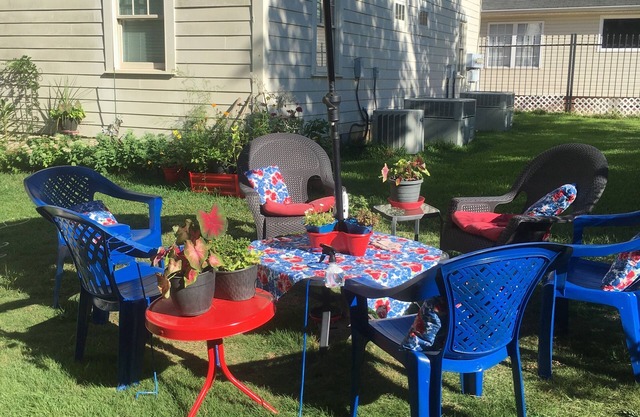 Olive's Secret Garden ~ 12 Blocks From The Stadium