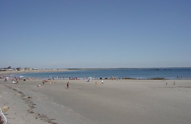 On the Beach, On the Salt Marsh, you get the Best of Both Worlds