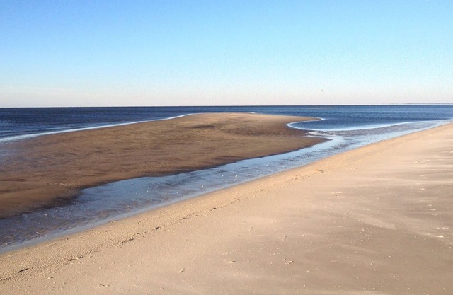 **ON THE GULF** Watch DOLPHINS PLAY!**Perfect GULF FRONT Family Retreat