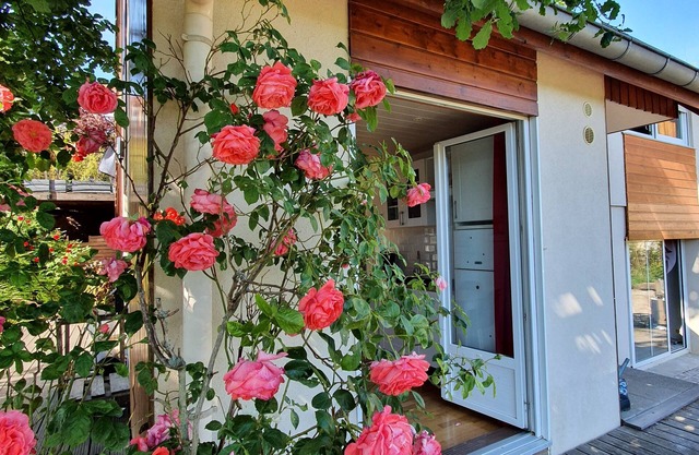 On your terrace at the foot of an oak tree, feel the Alsace's vibes !