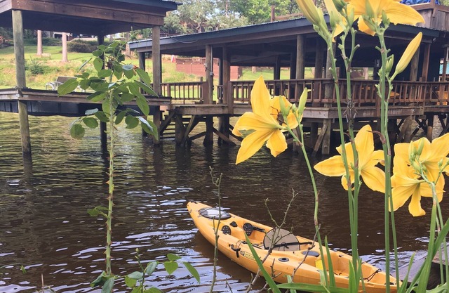Once in a Lifetime Toledo Bend