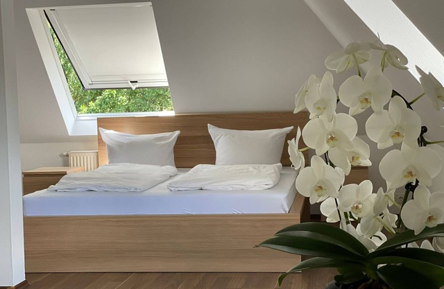 One bedroom apartment near Kurpark