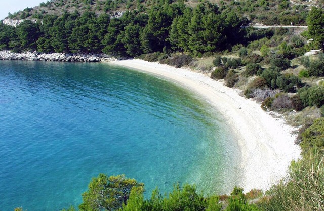 One bedroom apartment with balcony Drvenik Donja vala, Makarska (A-21321-b)