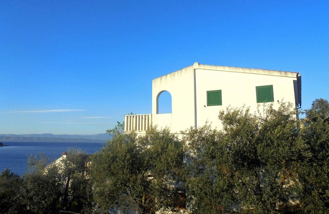 One bedroom apartment with terrace and sea view Nečujam, Šolta (A-16729-a)