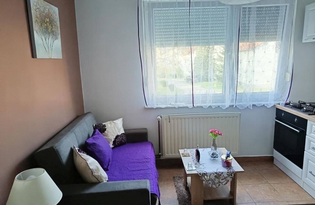 One bedroom apartment with air-conditioning Vukovar, Slavonija (A-24797-a)