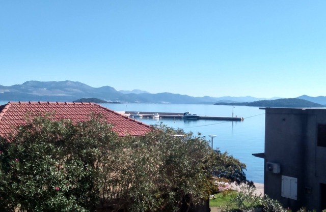 One bedroom apartment with balcony and sea view Drače, Pelješac (A-14019-c)
