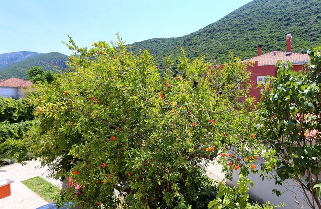 One bedroom apartment with terrace Trpanj, Pelješac (A-3157-f)