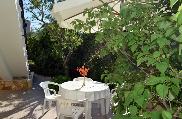 One bedroom apartment with terrace Ugljan (A-8493-b)