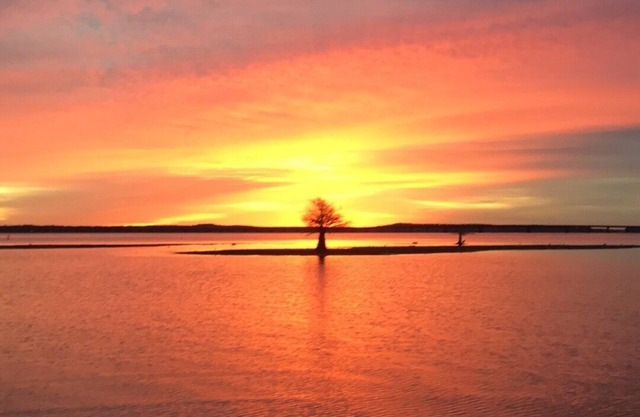 One of the best views of the lake on Toledo Bend…least thats what our guests say