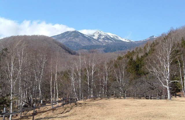 Onsen Inn 36So