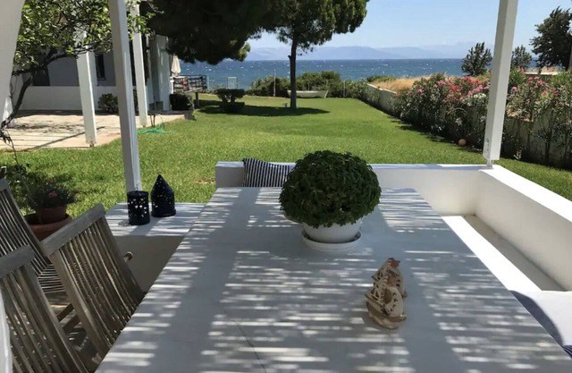 Open & Swim