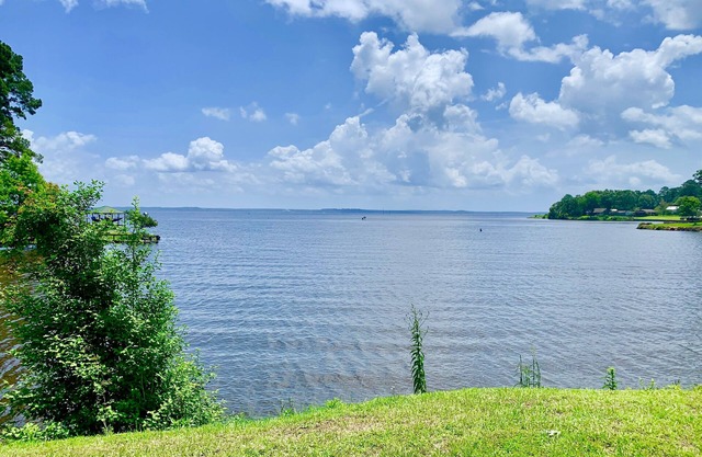 Open Waterfront Lakeview l Fish Camp l Huxley Bay Marina l Toledo Bend