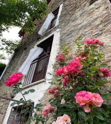 Orbregno Country Houses with Personal Wine Cellar