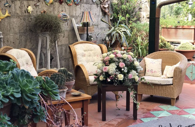 Orchid Corner Elephants Room