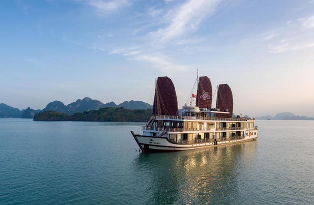 Orchid Trendy Cruise