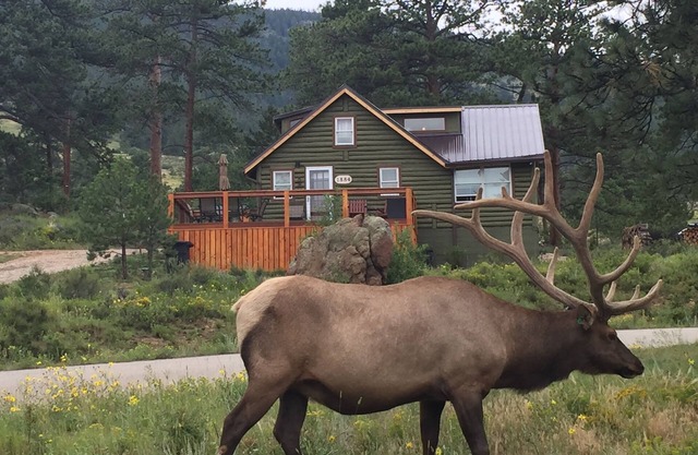 Original Rocky Mountain National Park Cabin W/Modern Updates &360 Mountain Views