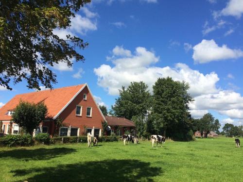 Ostfriesland Ferien Villa - 24 Personen - Sauna, Whirlpool , Kino, und Bar