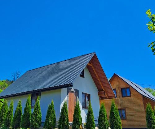Ostoja Bieszczady Domek Całoroczny