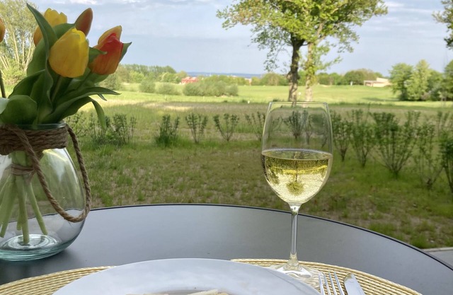 Ostsee-Panorama No. 4 - Aurora Vista - ABC568 - only vacation guests - Ostsee-Panorama