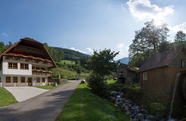 Our adjacent forests are a paradise for nature lovers and hikers.