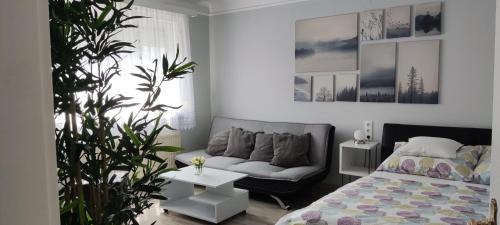 Our Haven in 1220