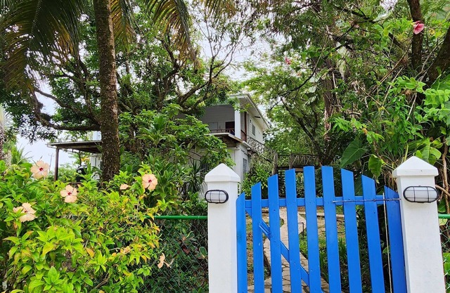 Our Sea of Blue Suite faces the Caribbean and awaits you