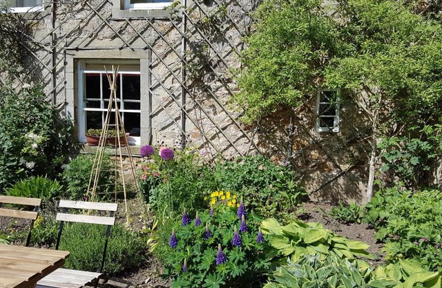 Owl Cottage