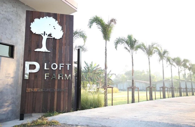 P LOFT FARM