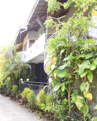 Pala House
