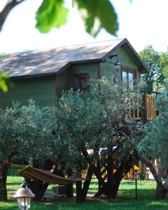 Palazzo Conforti Tree House Resort
