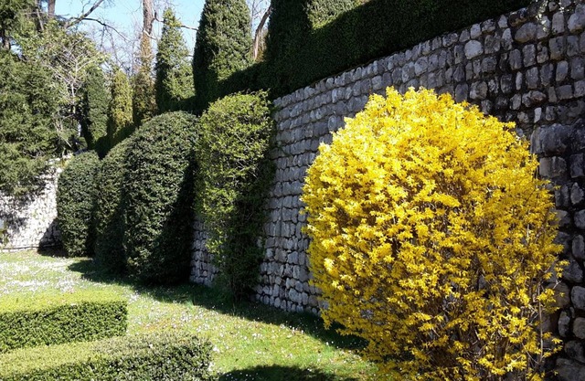 Palazzo Scolari B&B